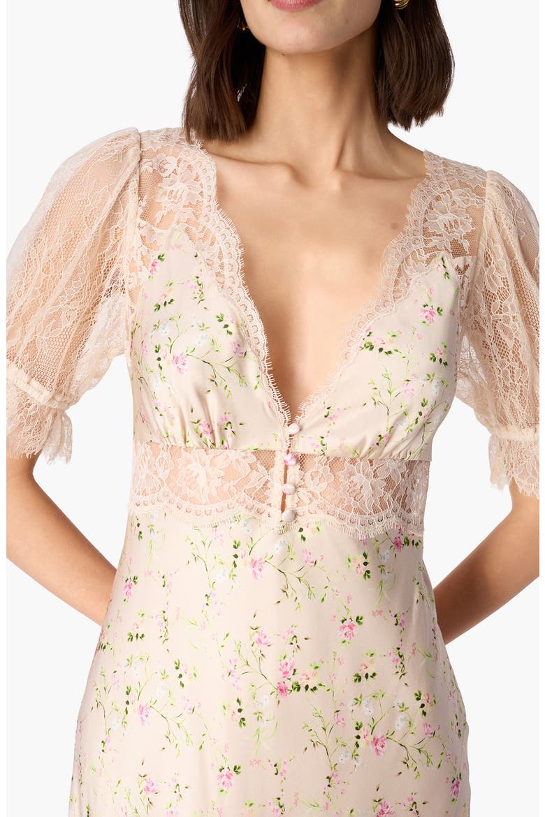 Dinah Floral Lace Silk Midi Dress, Alternate, color, ENGLISH COTTAGE/OAT