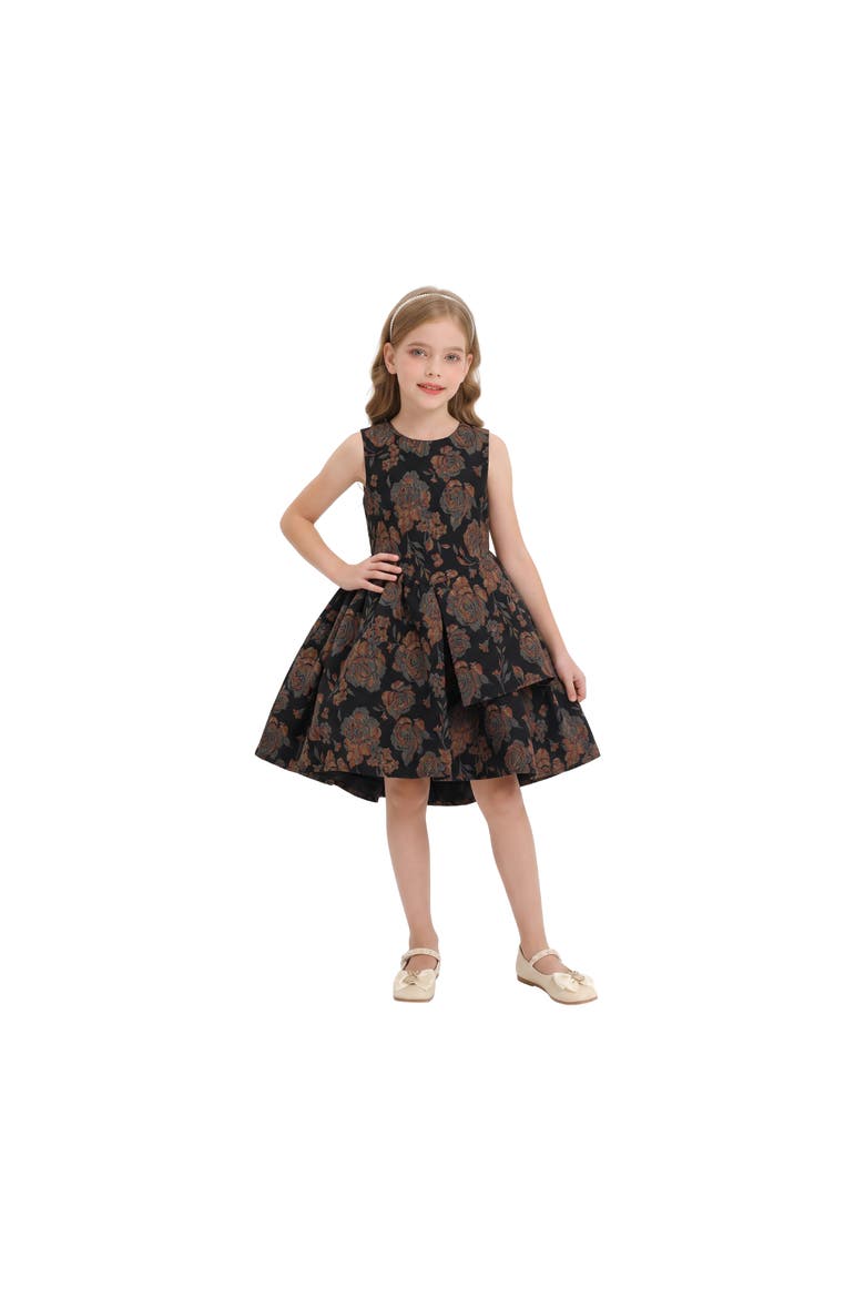 Emelina Floral Pleated Dress, Alternate, color, Black