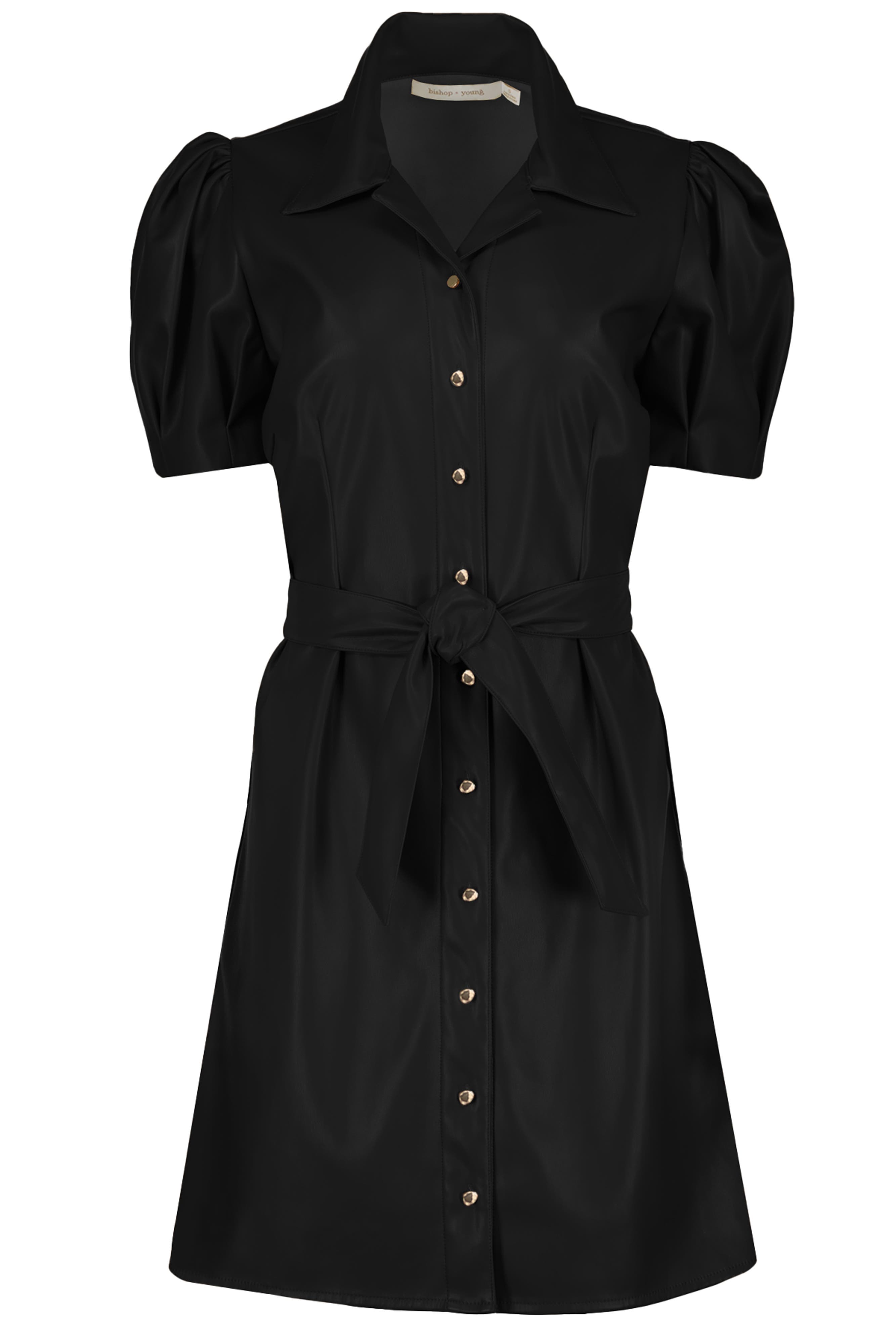 Clea  Leather Dress - image 4
