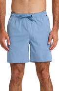 Quiksilver Taxer Heather Amphibian Shorts