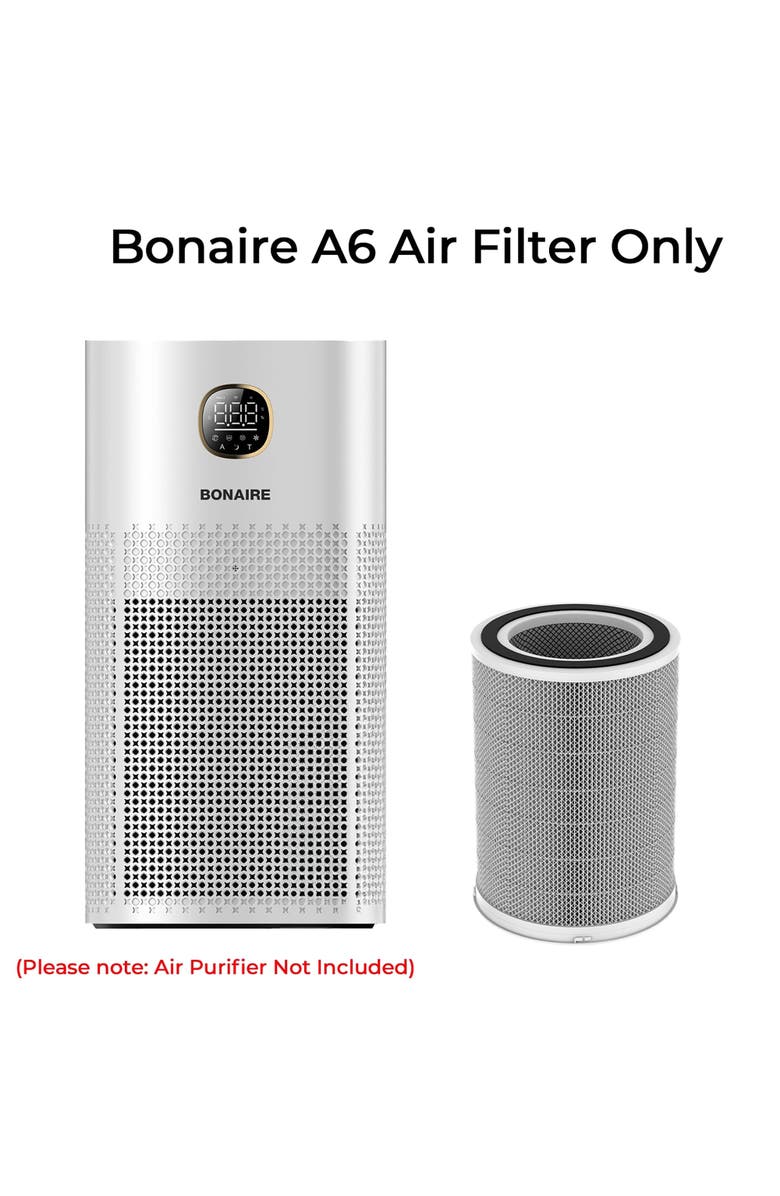 Bonaire A6 Air Purifier Filter Replacement, Alternate, color, White