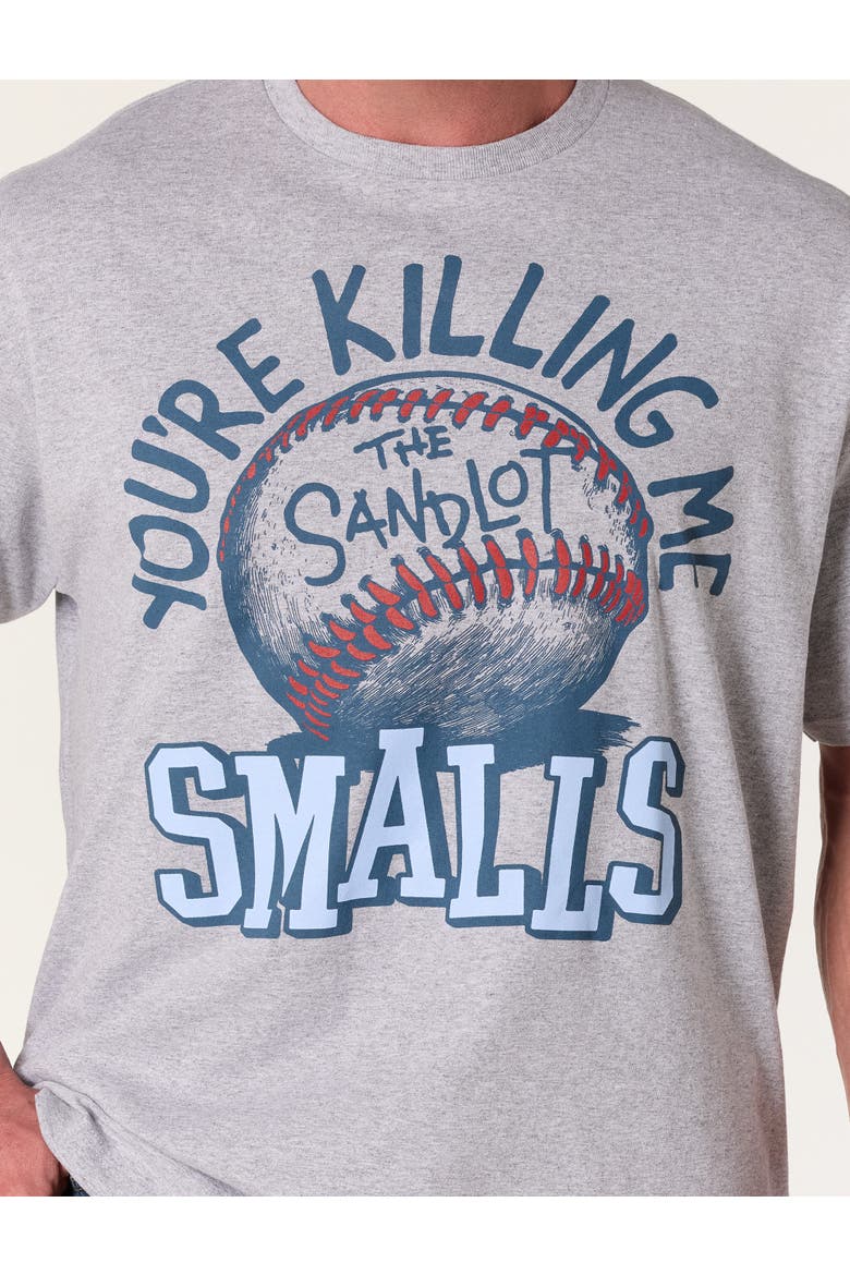 Big & Tall You're Killing Me Smalls Graphic Tee, Alternate, color, GREY HEATHER