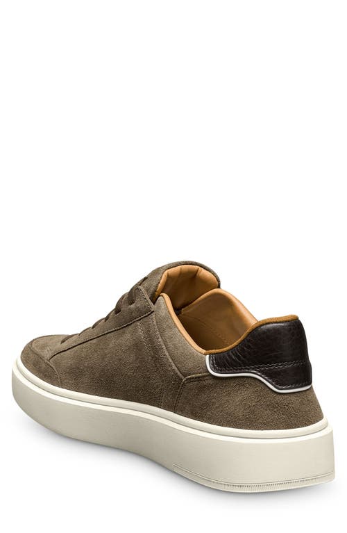 Allen Edmonds Oliver Sneaker In Tobacco