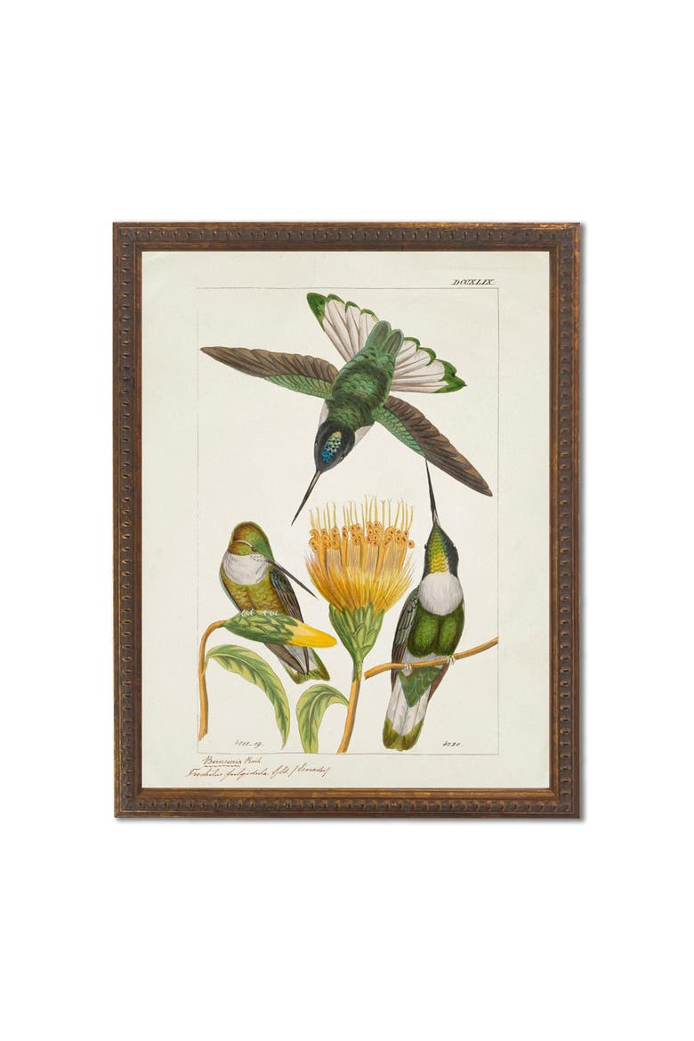 Hummingbirds and Yellow Flower in Bronze-Beaded Frame, Main, color, Multi