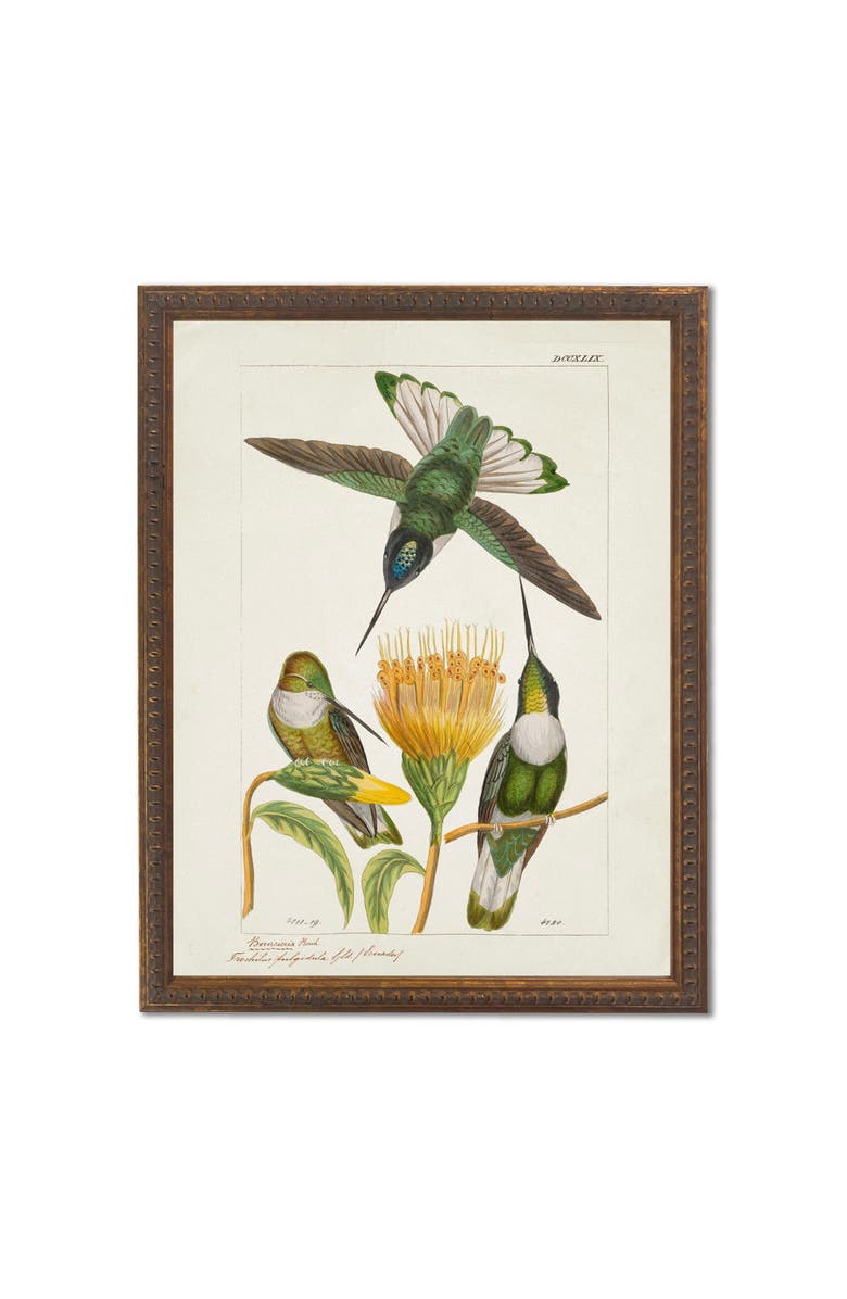 Antique Curiosities Hummingbirds and Yellow Flower in Bronze-Beaded Frame, Main, color, Multi