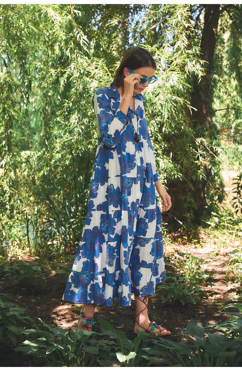 Ro's Garden Cc Jinette Maxi Dress, Alternate, color, Blue Eenika