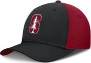 Nike Men's Nike Black/Cardinal Stanford Cardinal 2025 Sideline Rise Local Performance Flex Hat