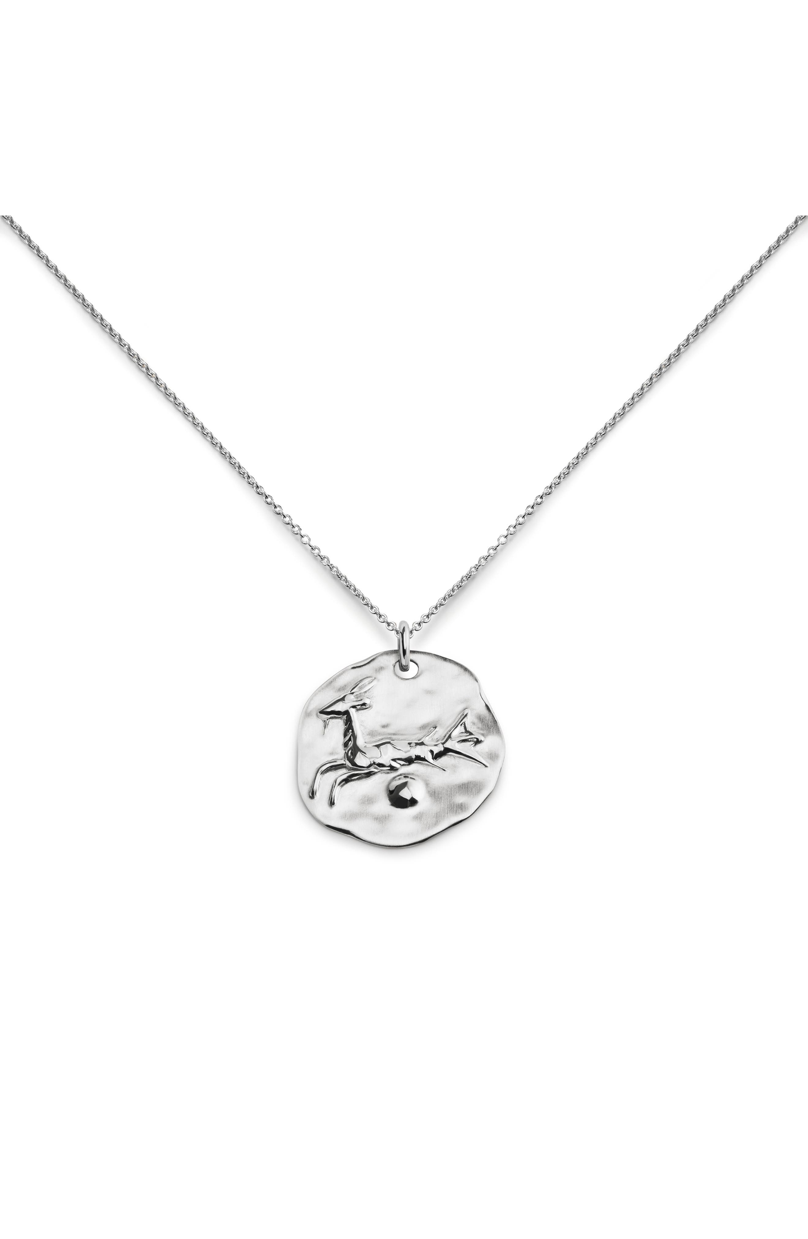 SILVER CAPRICORN