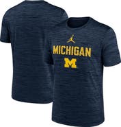 Jordan Brand Men's Jordan Brand Navy Michigan Wolverines Campus Slant Velocity Performance T-Shirt