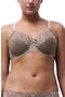 selected Bronzed Taupe Rose