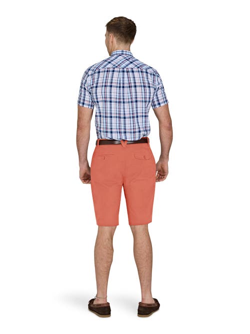 Raging Bull Chino Short In Orange