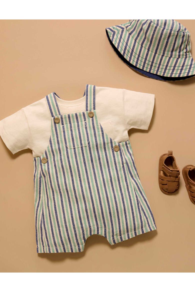 Striped Overalls, Alternate, color, Iguana Stripe