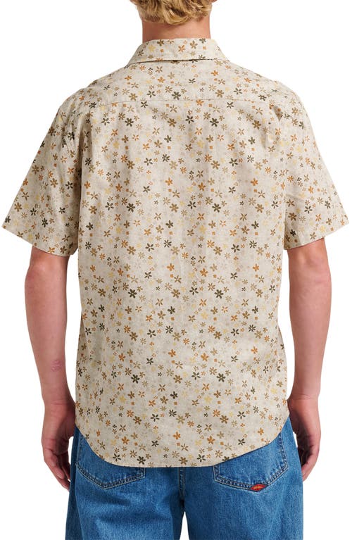 Quiksilver Men's Ditsy Mini Classic Short Sleeve Shirt In Neutral