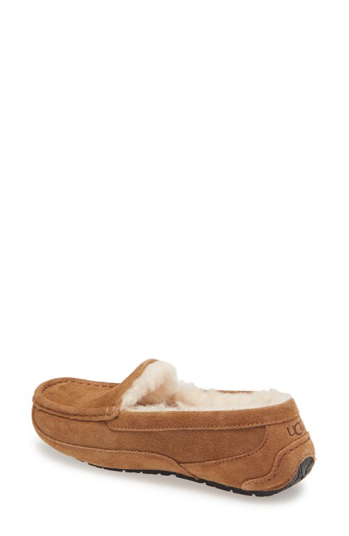 Ugg Boy's Ascot Suede Slippers W/ Wool-lining, Kids In Brown