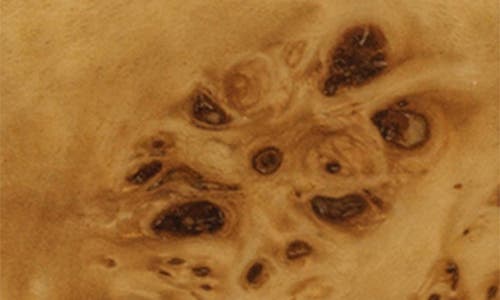 Zodax Bubbo Burl Decorative Box In Brown