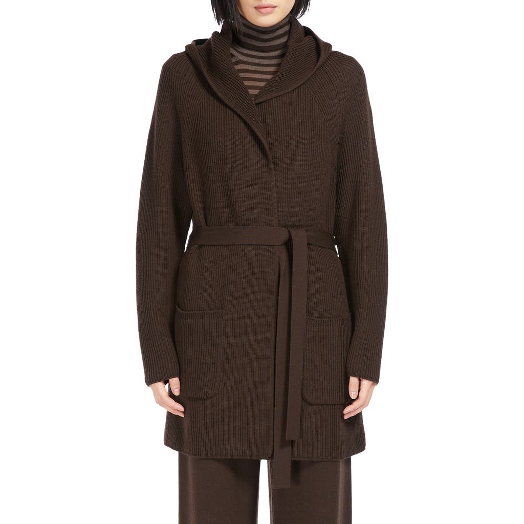 Max Mara Leisure Finezza Hooded Virgin Wool Cardigan in Brown