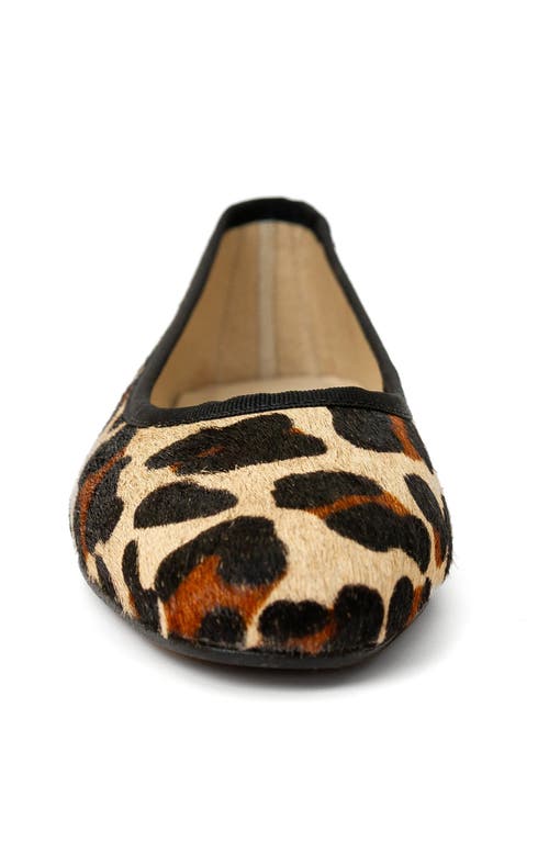Menina Step Sandrine Ballet Flat In Animal Print