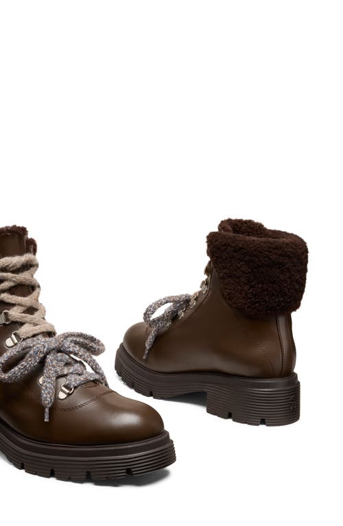 Stuart Weitzman Hudson Lite Genuine Shearling Lined Lace-up Bootie In Brown
