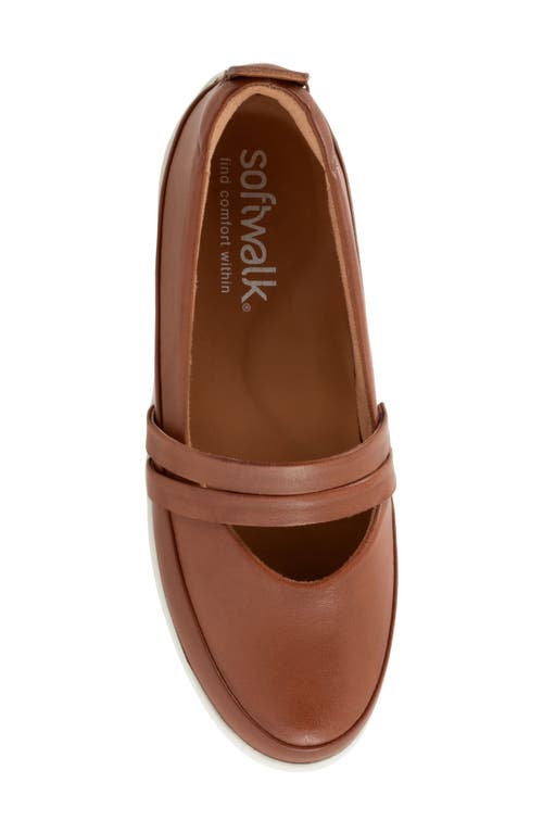 Softwalk ® Devon Mary Jane Flat In Luggage