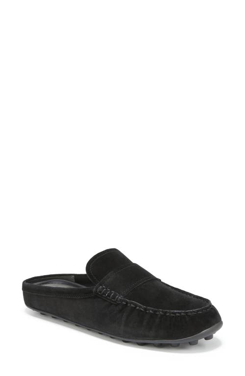 Vince Berkley Driving Mule In Black