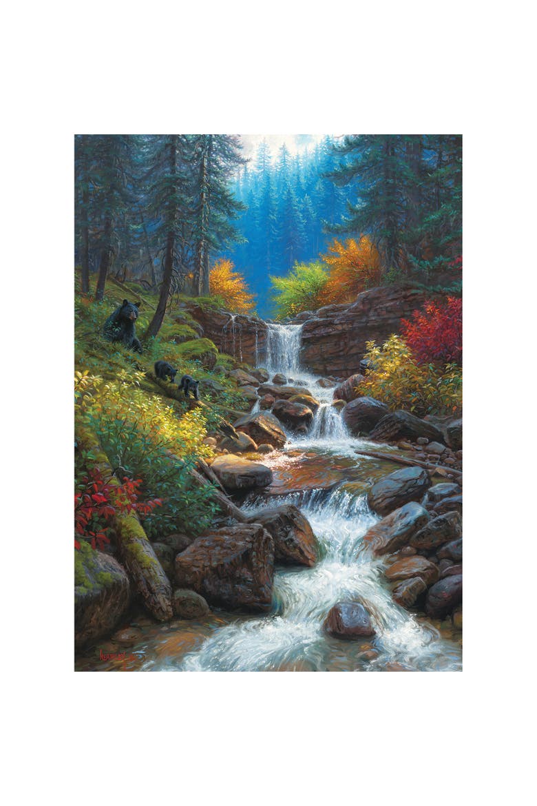 1000 Piece Puzzle Mountain Cascade  High Quality Jigsaw, Alternate, color, Multicolored