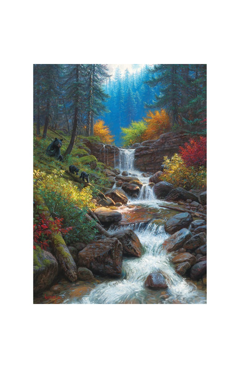 Cobble Hill 1000 Piece Puzzle Mountain Cascade  High Quality Jigsaw, Alternate, color, Multicolored