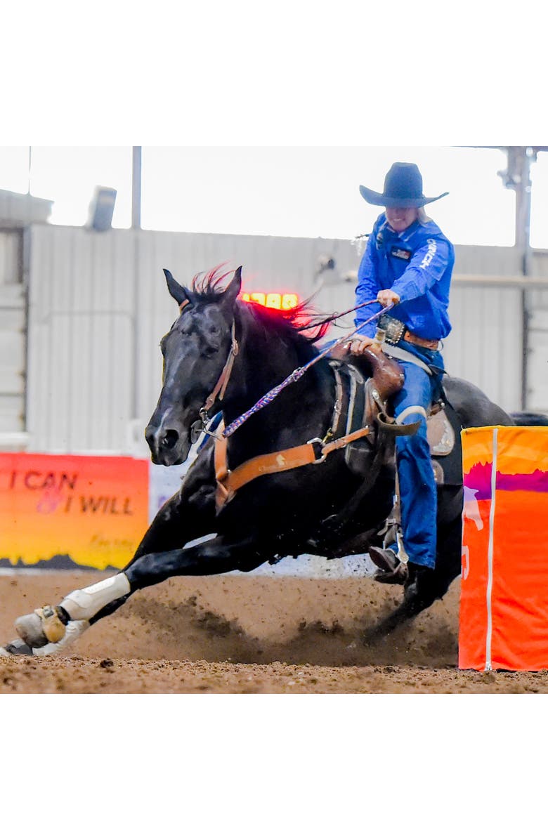 Breyer Horses The Traditional Series Amberley Snyder
s, Alternate, color, Black