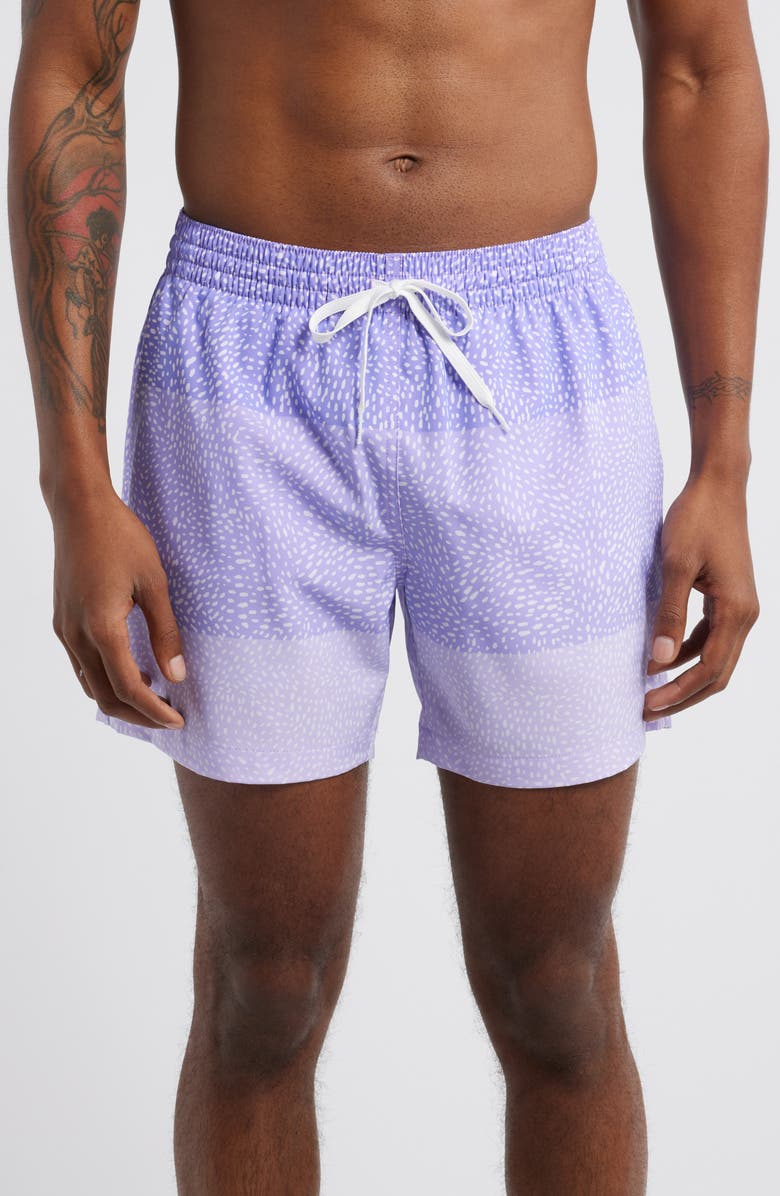 Chubbies The Gem Whale Sharks Classic 5.5-Inch Swim Trunks, Main, color, 