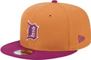 New Era Men's New Era Brown/Purple Detroit Tigers Color Pack Two-Tone 9FIFTY Snapback Hat
