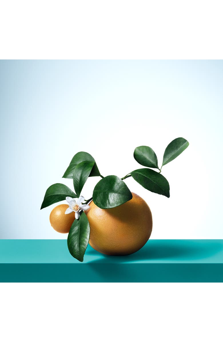 Tiffany & Co. Tiffany & Love Women's Gift Set $231 Value, Alternate, color, 