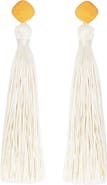 Petit Moments Fringe Tassel Linear Earrings