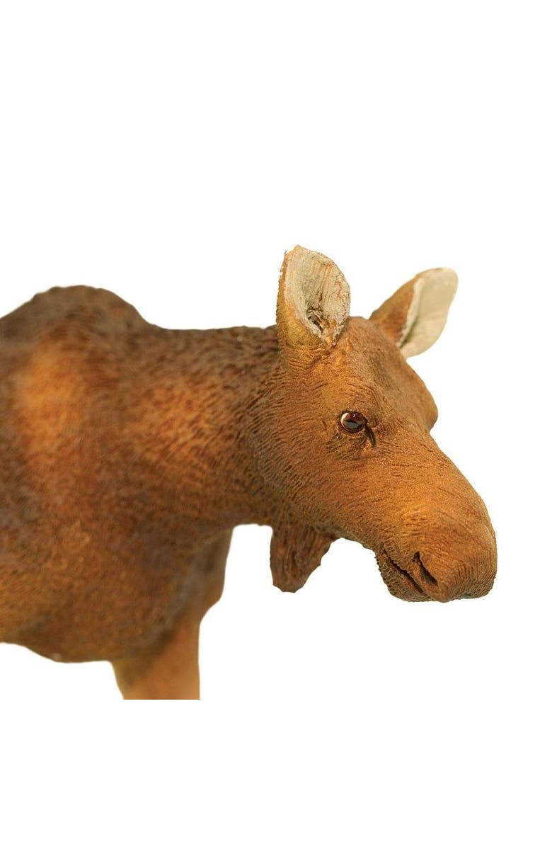 Safari Ltd. Cow Moose Kids Toy Figure, Alternate, color, NO COLOR