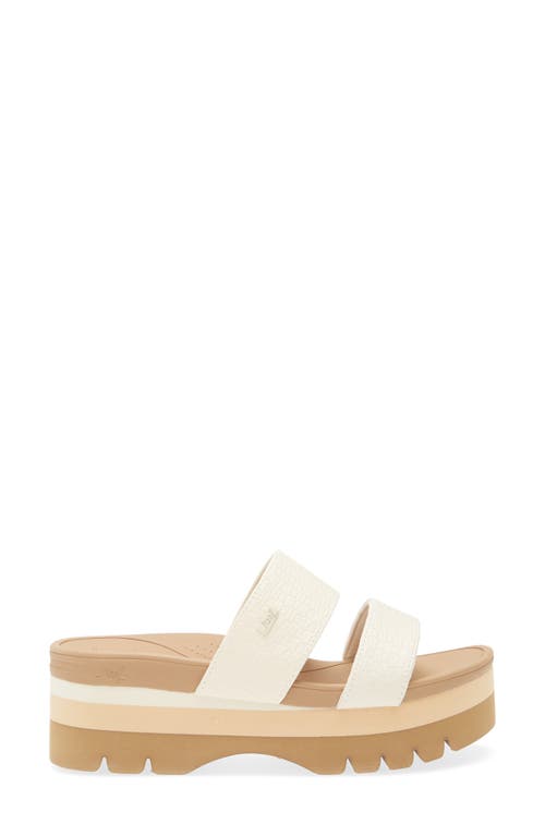 Reef Banded Horizon 2.5 Platform Slide Sandal In Brown