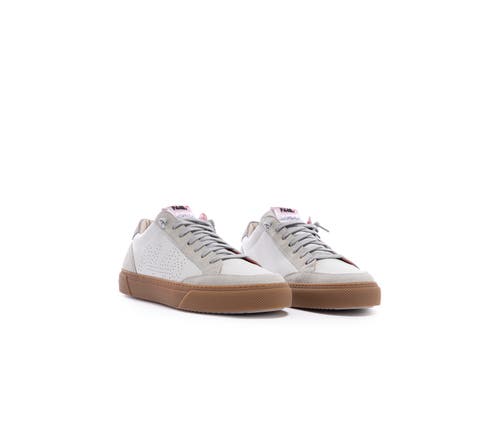 P448 Soho Sneaker In Arctic