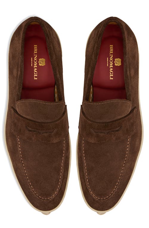 Bruno Magli Prato Penny Loafer In Brown