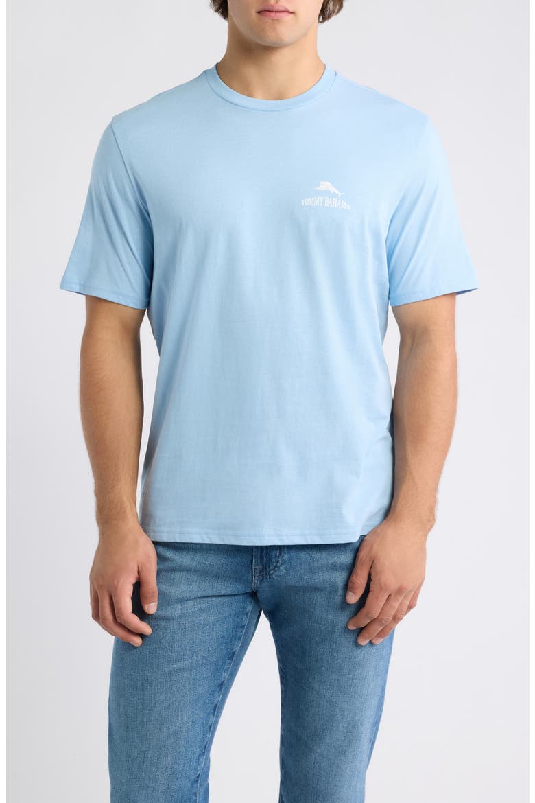 A Little Hair of the Dog Graphic T-shirt, Main, color, SEABANK SKY