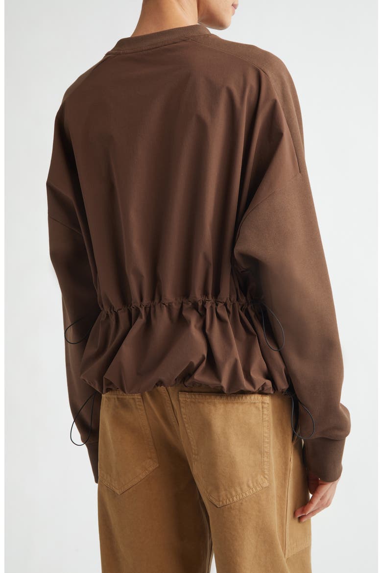 Raglan Sleeve Sweatshirt, Alternate, color, NEUTRAL