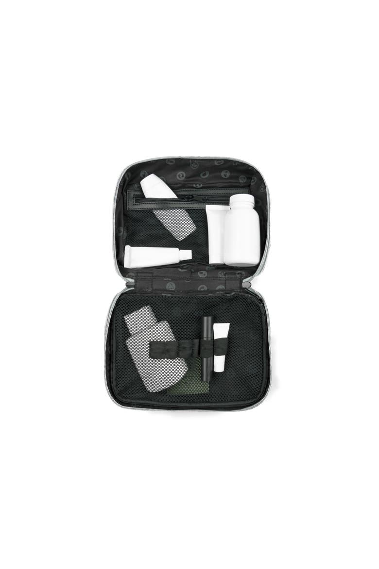 Reborn Toiletry Bag, Alternate, color, Grey