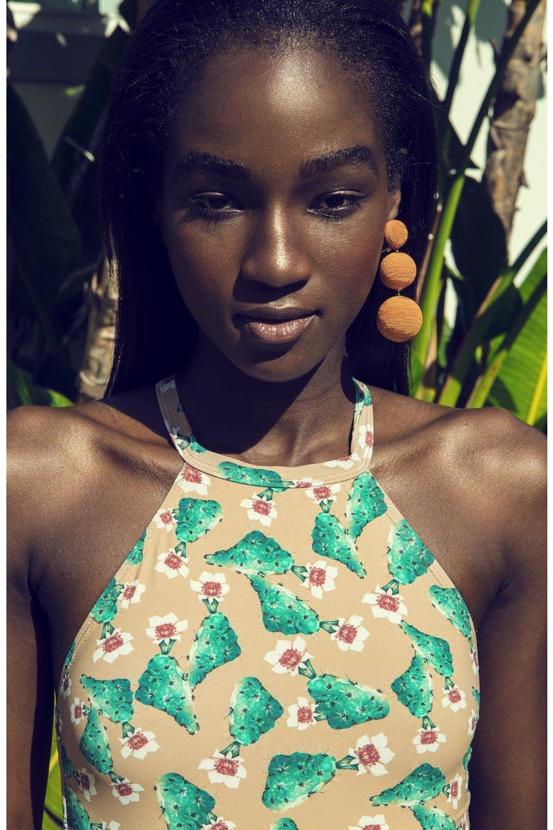 Denise High Neck One Piece Swimsuit, Alternate, color, Cactus Print