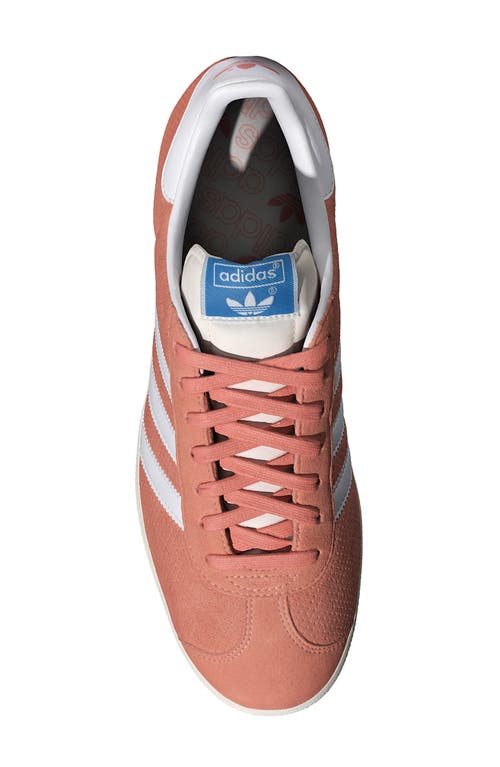 Adidas Originals Adidas Gazelle Sneaker In Clay/white/cream White