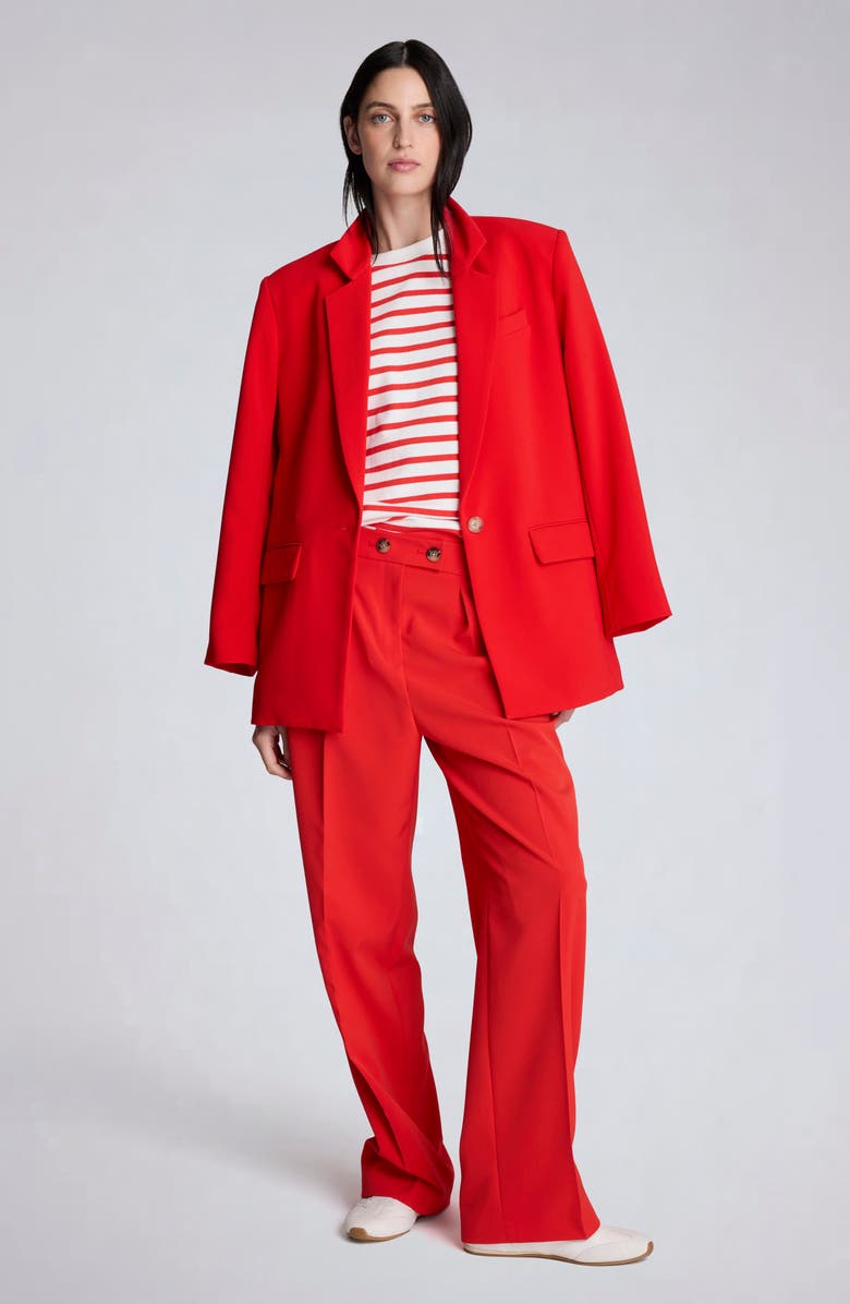 Kenneth Cole Pleat Front Wide Leg Pants, Alternate, color, Lava Red