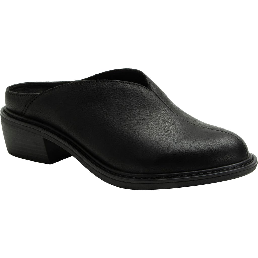 Alegria By Pg Lite Michy Mule