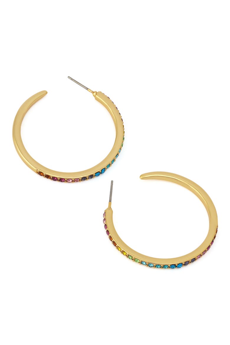 Medium Pavé Hoop Earrings, Alternate, color, GOLD/ MULTI