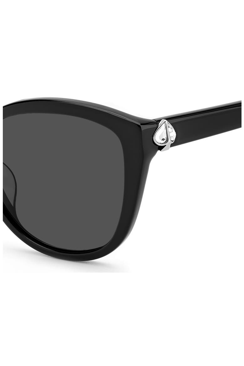 hensley 55mm cat eye sunglasses, Alternate, color, 0807-IR
