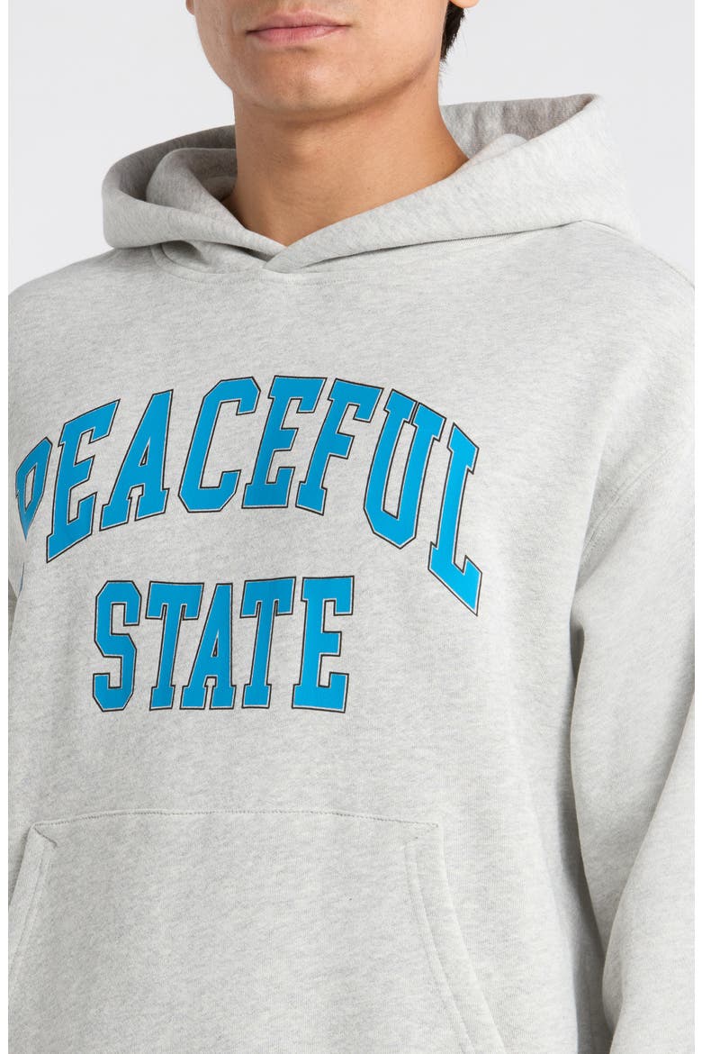 Peaceful Cotton Fleece Hoodie, Alternate, color, ASH