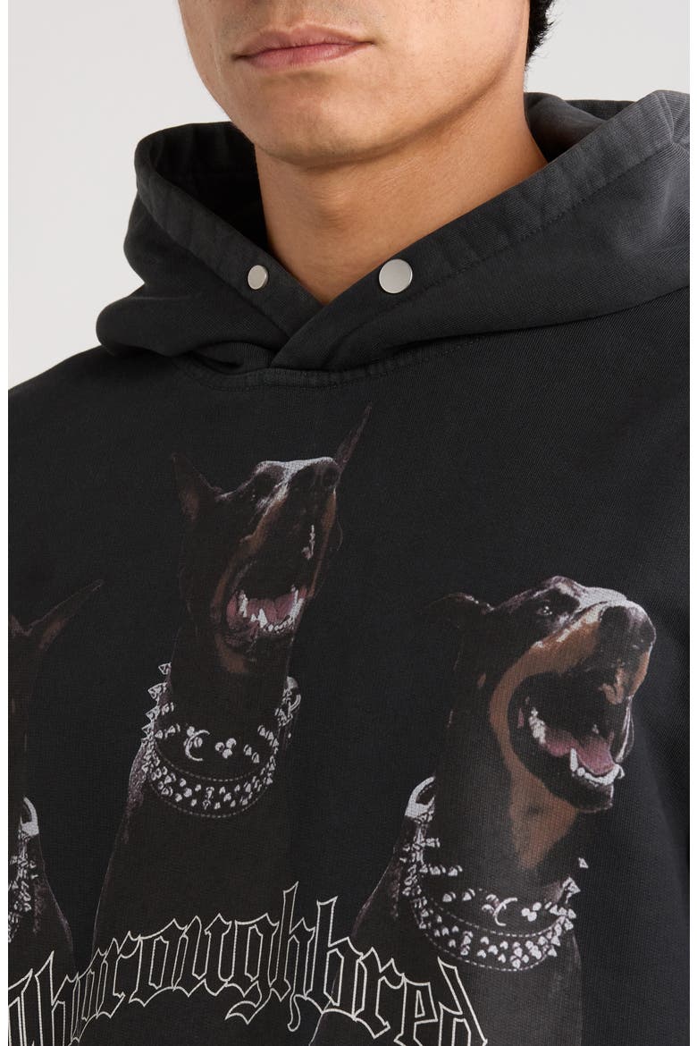 Thoroughbred Oversize Cotton Graphic Hoodie, Alternate, color, VINTAGE BLACK