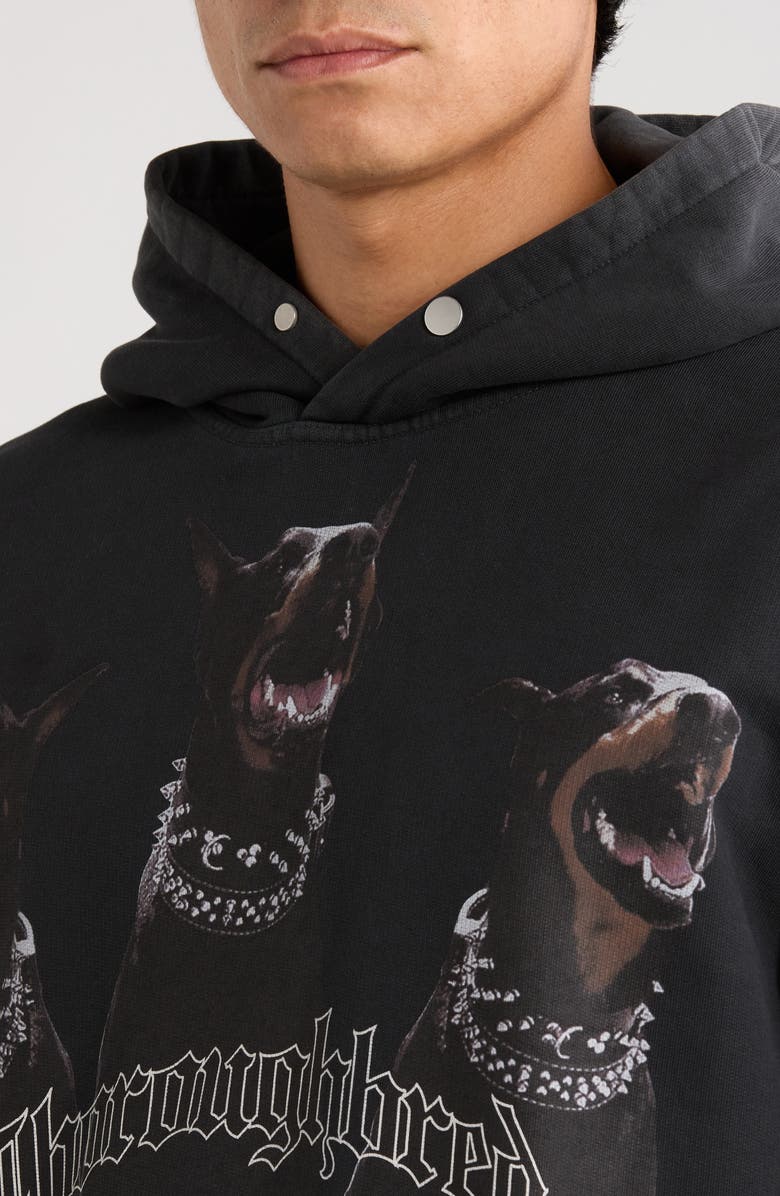 Represent Thoroughbred Oversize Cotton Graphic Hoodie, Alternate, color, Vintage Black