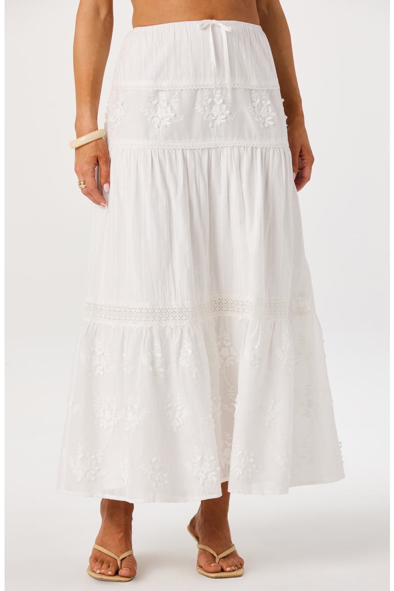 Gwyn Embroidered Maxi Skirt, Alternate, color, WHITE