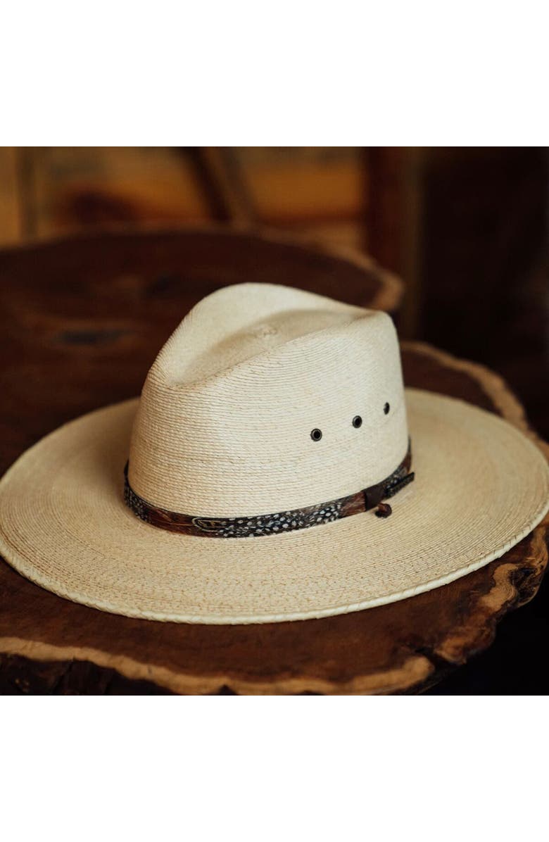 Stetson Cumberland Hat, Alternate, color, Toasted