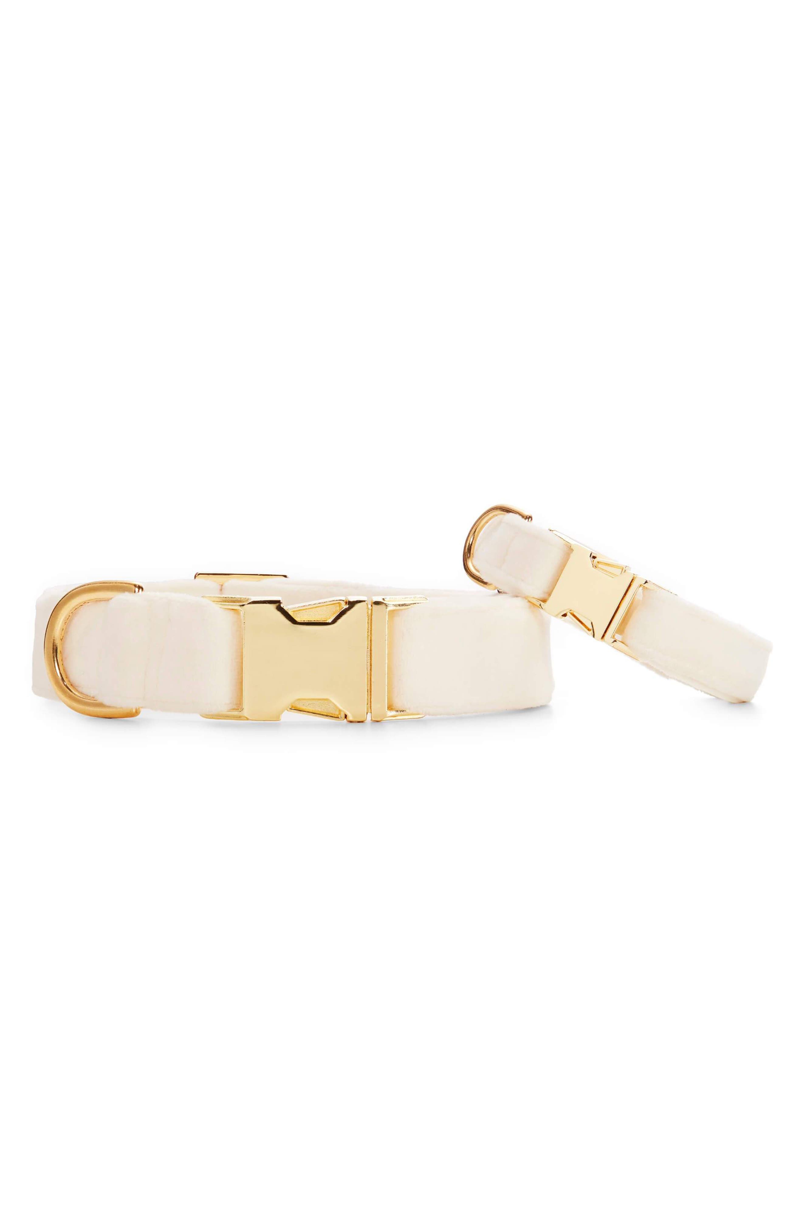 The Foggy Dog Velvet Dog Collar in Ivory at Nordstrom, Size Large
